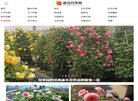 "生活服务"下的所有分类