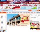 网站类型