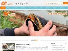 宠物玩具安博最新app使用方法(更新