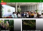 主页> 行业排名 > 地区排名 > 