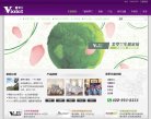 "行业企业"下的所有分类