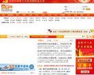 网站类型
