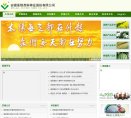 网站信息