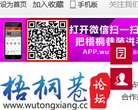 网站信息