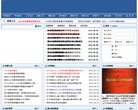 网站类型