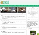 网站类型