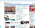 网站类型