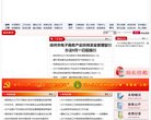网站类型