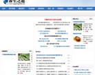 广告服务