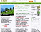 网站信息