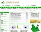 版权声明
