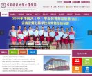 "综合其他"下的所有分类：