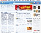 网站类型