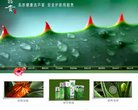 主页> 行业排名 > 地区排名 > 