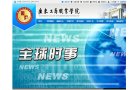 站点导航
