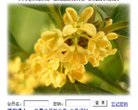 上饶设计素材安博最新app正式成为英
