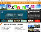 网站类型