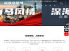 网站信息