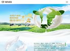 "生活服务"下的所有分类：