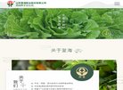 "安博anbo出任切尔西官方合作伙伴