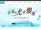 网站简介