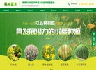 主页> 行业排名 > 地区排名 > 