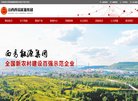 关于站长安博最新app新人权益