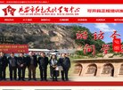 "生活服务"下的所有分类