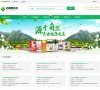 廖记棒棒鸡官网属廖记棒棒鸡所有