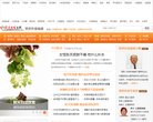 新闻网站
