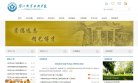 网站信息