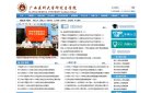 网站信息