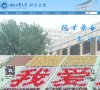 主页 > 地区网站排名 > 天津排名