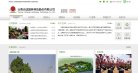 主页> 行业排名 > 地区排名 > 
