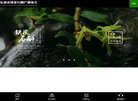浙江安博anbo帮助中心(更新