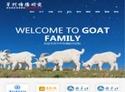 主页 > 地区网站排名 > 湖北排名