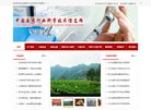 "生活服务"下的所有分类