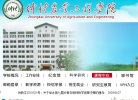 站点导航