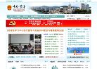 "综合其他"下的所有分类：
