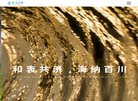 主页 > 地区网站排名 > 浙江排名