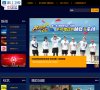 网站类型