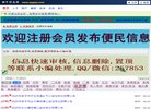 网站类型