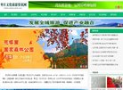 版权声明