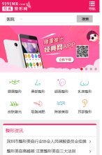 网站类型
