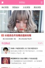 网站类型