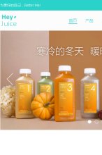 网站类型
