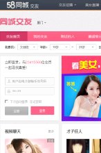 网站类型