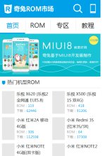 网站类型