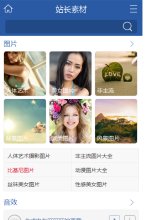 网站类型