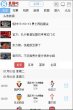 网站类型